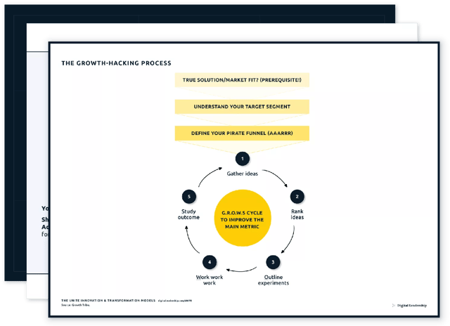 The Growth-Hacking process