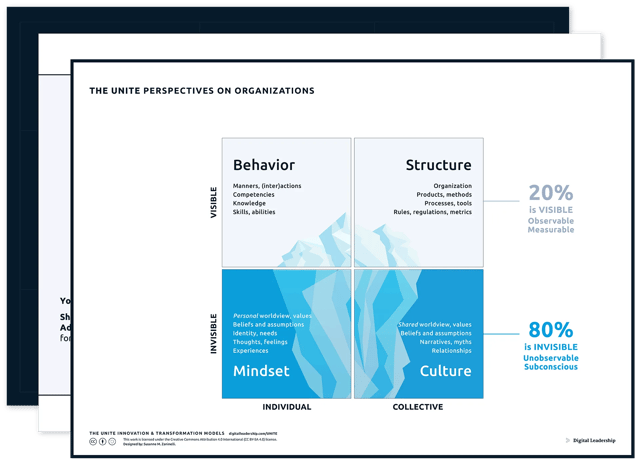 The UNITE Perspectives-on-organizations — download package