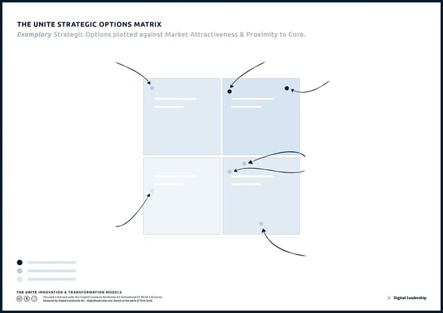 The UNITE Strategic Options Matrix