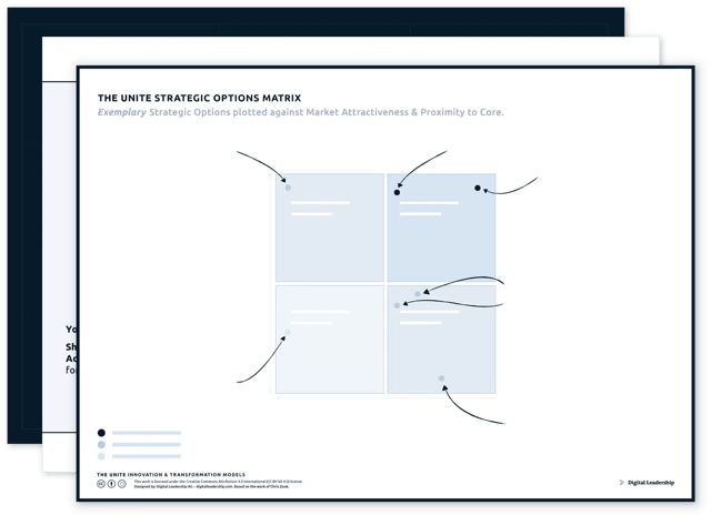 The UNITE Strategic Options Matrix — download package