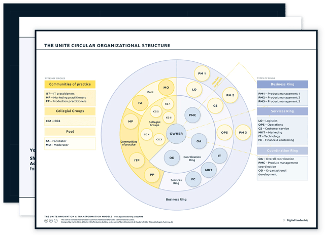 Circular Organizational Structure — download package