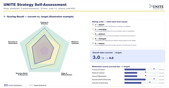 The strategy self-assessment on screen: a radar of five dimensions — purpose and direction, market and customer, value and differentiation, business model and resources, execution and governance — with the current level against the target, the rating scale beside it and the score per dimension underneath.